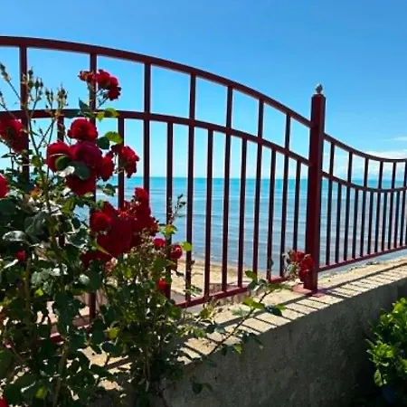 Privilege Apartment, Elenite * Sveti Vlas